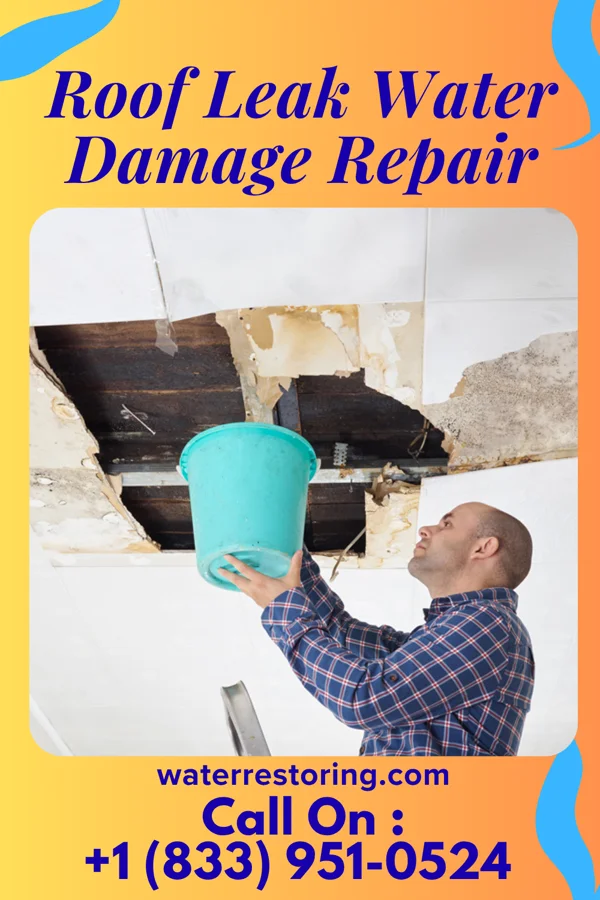 Roof Leak Water Damage Repair in Holiday Lakes, TX