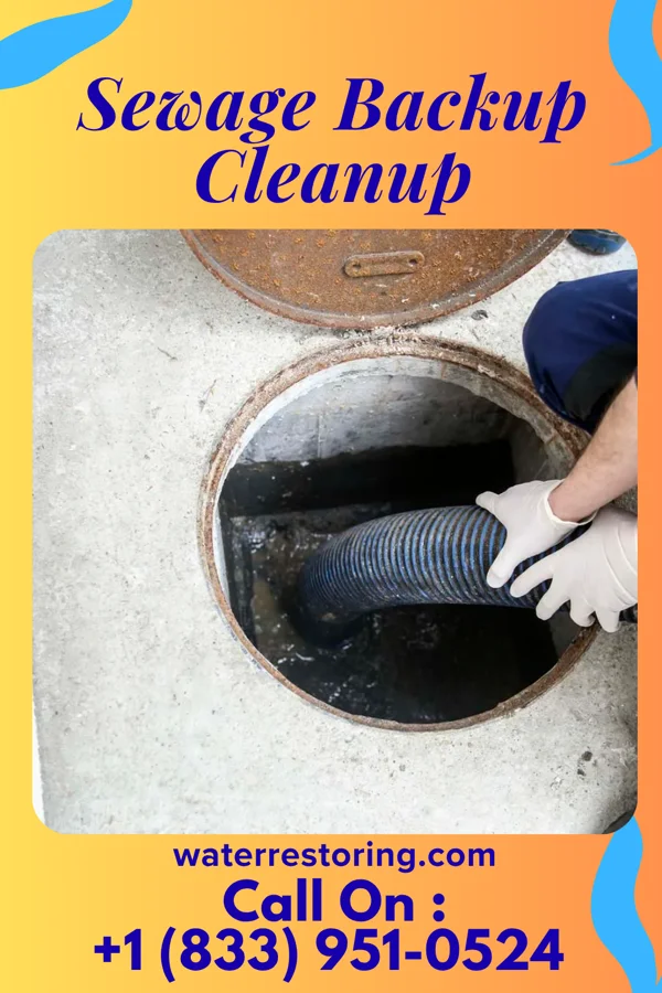 Sewage Backup Cleanup in Holiday Lakes, TX